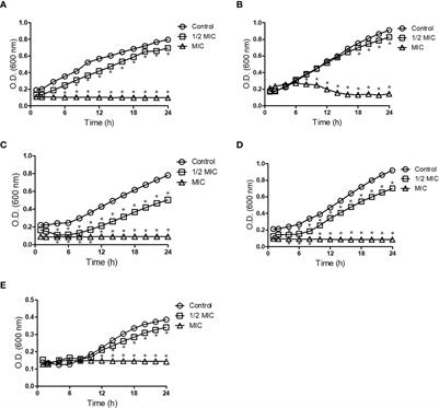 Miltefosine Against Scedosporium and Lomentospora Species: Antifungal Activity and Its Effects on Fungal Cells